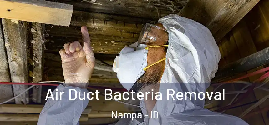  Air Duct Bacteria Removal Nampa - ID