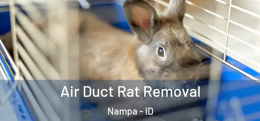  Air Duct Rat Removal Nampa - ID