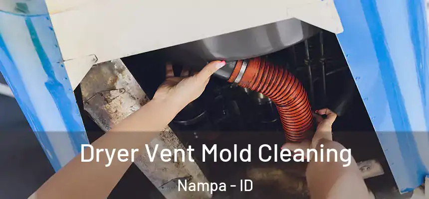 Dryer Vent Mold Cleaning Nampa - ID
