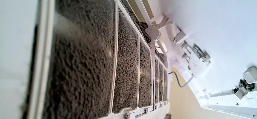 Preventive Air Duct Bacteria Removal in Nampa