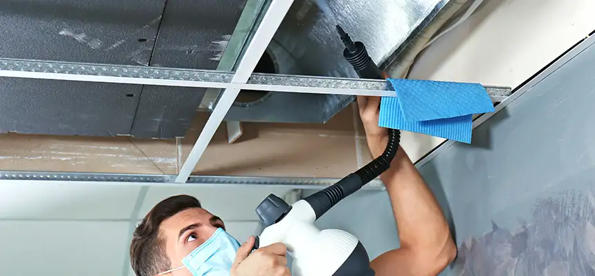 Our Air Duct Rodent Removal Services in Nampa, ID