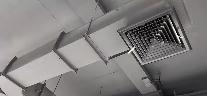 Restorative Allergy Relief Vent Cleaning – Coil, Blower & Housing Detail in Nampa