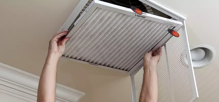 Our Insect Removal from Air Ducts Services in Nampa, ID