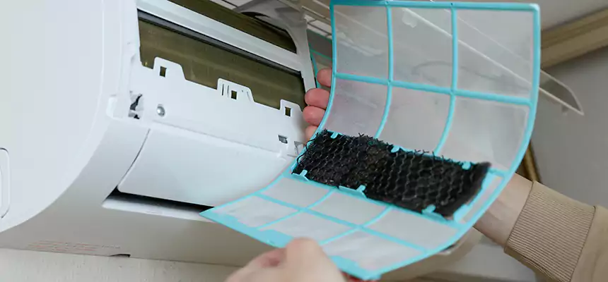 Gentle Ductwork Odor-Control Pet Dander Duct Cleaning in Nampa, ID