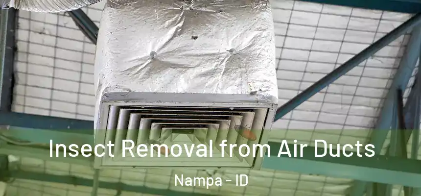 Insect Removal from Air Ducts Nampa - ID