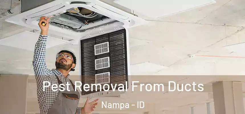  Pest Removal From Ducts Nampa - ID
