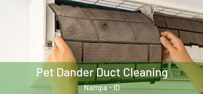 Pet Dander Duct Cleaning Nampa - ID