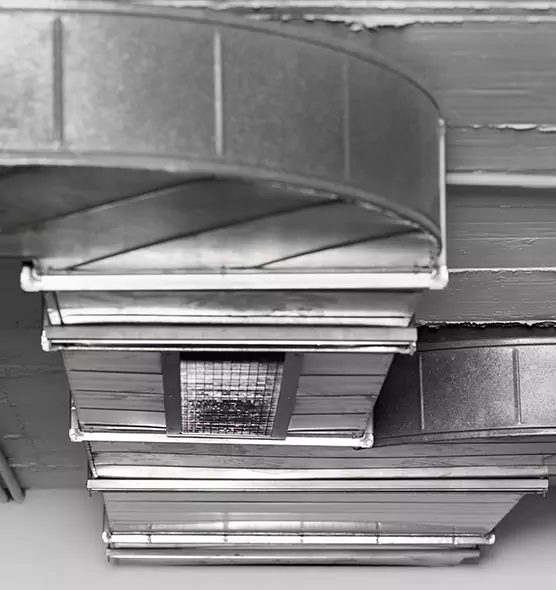 Professional Air Duct Pest Removal in Nampa, ID