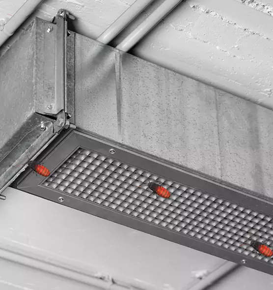 Affordable Insect Removal from Air Ducts in Nampa, ID